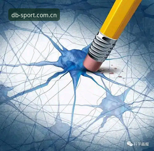 深度揭秘DBTY体育下载攻略：多宝体育平台背后的技术真相与实战评测